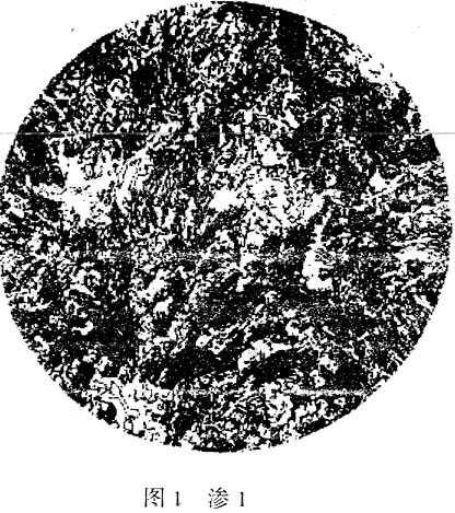 滲1.jpg