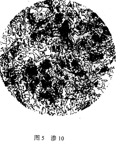 滲10.jpg