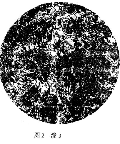 滲3.jpg