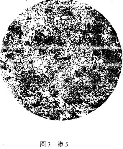 滲5.jpg