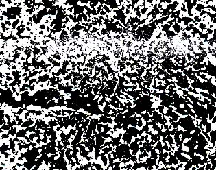 55(j) w+FwδD(zhun)׃B(ti).jpg