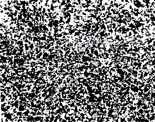 33(j) w+Fw黯.jpg