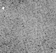 25̖˻x100.jpg