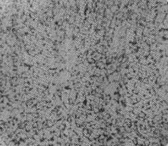 35̖˻x100.jpg