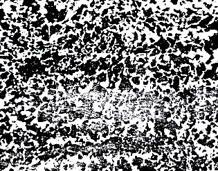 44(j) w+FwδD(zhun)׃B(ti).jpg