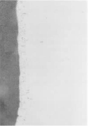 D3     OMI   200×.jpg