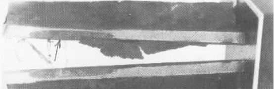 D3    0.5×.jpg