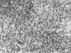 圖1(500×).jpg