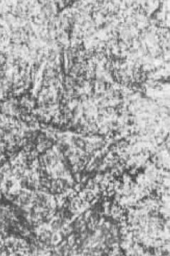 圖3(500×).jpg