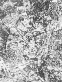 圖1(500×).jpg