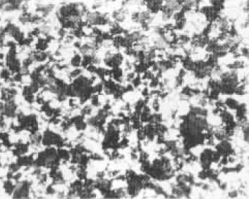 圖1(500×).jpg