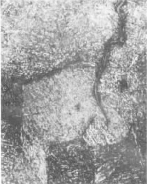 D3(250×).jpg